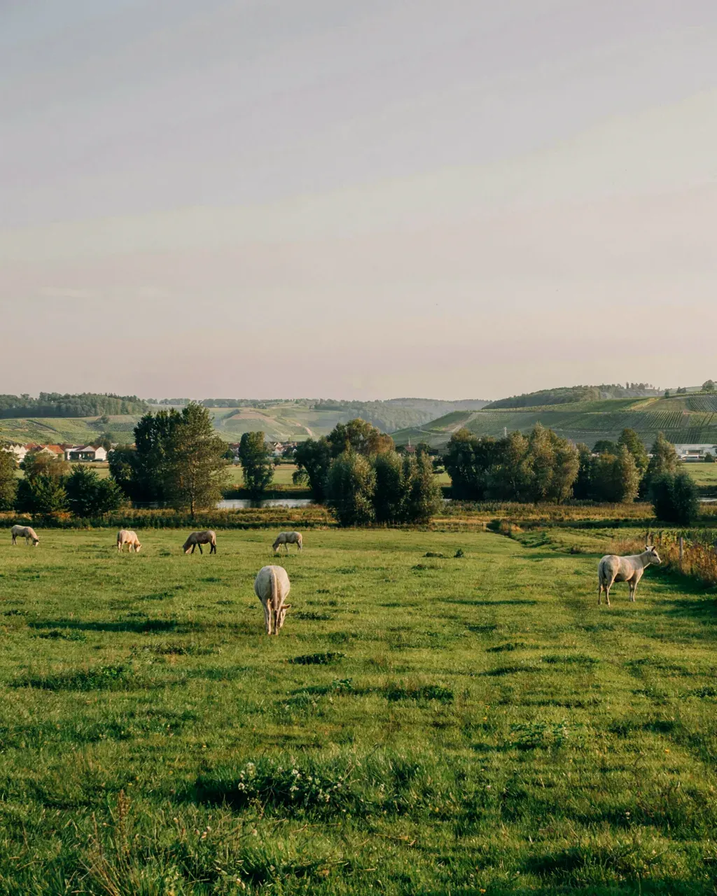 Landschaftsimpression aus der Region um Backnang im Rems-Murr-Kreis