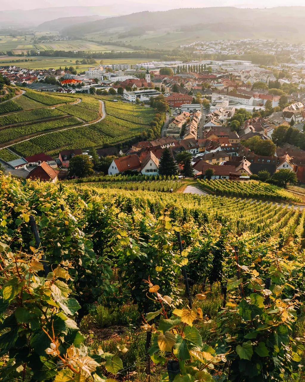 Landschaftsimpression aus der Region um Fellbach im Rems-Murr-Kreis