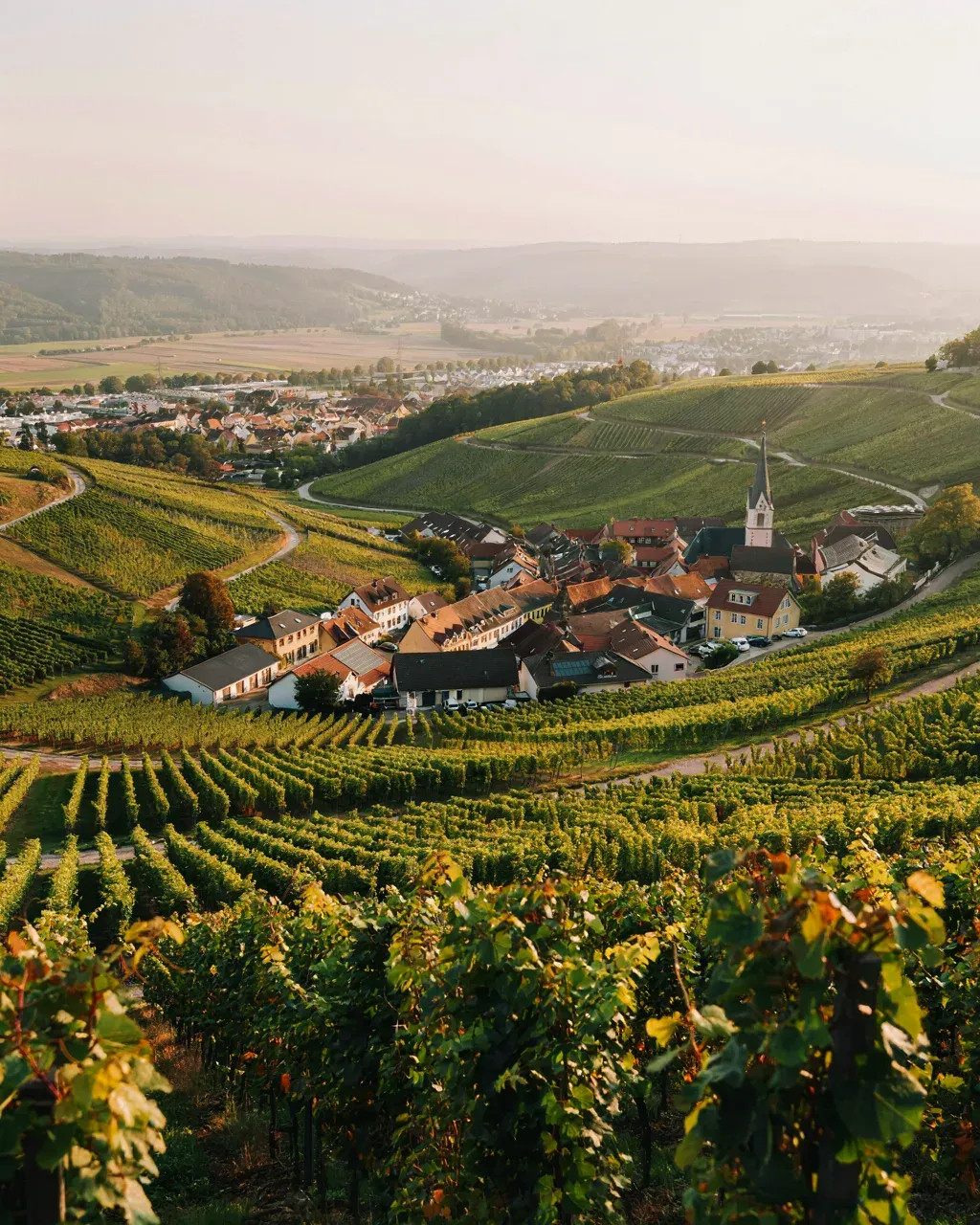Landschaftsimpression aus der Region um Weinstadt im Rems-Murr-Kreis